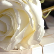 Music & Lyrics (Ceremony Music Package)